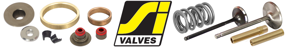 SI Valves Logo